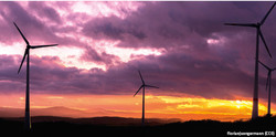 ED 20/18 Windparks: Profit auf Kosten der Kleinanleger (S.10/11)