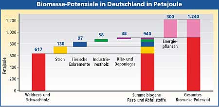 535 Biomassepotenzial in Deutschland