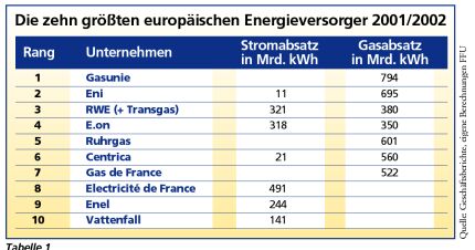 736_1273_10 größten europäischen Energieversorger 2001/2002