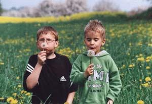 581 Kinder auf einer Wiese, Pusteblumen