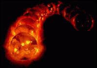 importiertes Content-Bild aus EW_IMAGES
Planeten