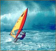 3059 Windsurfen auf dem Meer
