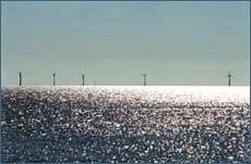 3059 Windpark im Meer