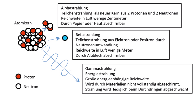 Unser Leben mit der Radioaktivitt