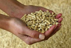 532 Holzpellets - Eine Handvoll umweltfreundlicher Wärme