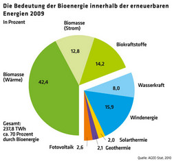 1090 Grafik Bedeutung der Bioenergie innerhalb der erneuerbaren Energien 2009