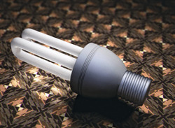 305 Lampe