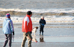 1261 Meer