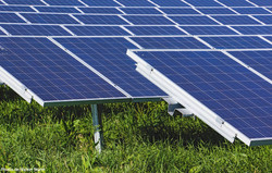 1466 1900  PV-Module / Foto Pixelio.de/Rainer Sturm