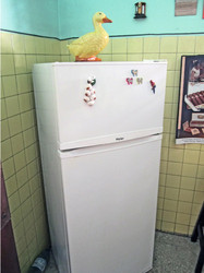 3049 Kühlschrank