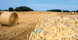 3066 Strohballen auf dem Feld / Foto: Pixelio.de/Bernd Kasper