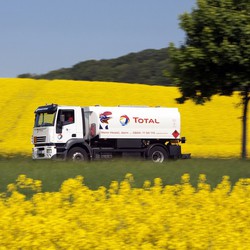 125 Rapsfeld Foto Total GmbH 