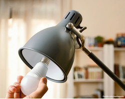 1517 LED-Lampe wird eingeschraubt / Foto: Fotolia.com/martiapunts