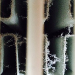 125 Heizk&ouml;rper dreckig / Foto: Urbansky/Enwipo