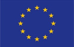 2416 Flagge EU