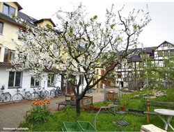 ED 02/16 Gelebte Utopie: Kommune Kaufungen (S. 16-19)