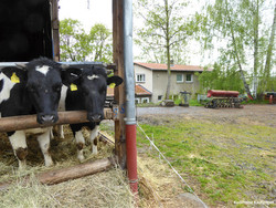 ED 02/16 Gelebte Utopie: Kommune Kaufungen (S. 16-19)