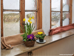 642 undichte Fenster mit Blumen auf dem Fensterbrett / Foto: Fotolia.com/Ingo Bartussek