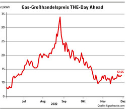 312 Grafik Gas-Großhandelspreis THE-Day Ahead /  Quelle: Agrarheute.com