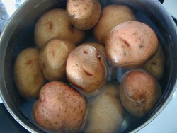 Download Foto Tipp 40 Kartoffeln