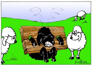 Download Hochaufgelöster Cartoon \'Schwarze Schafe\' zur freien Verwendung