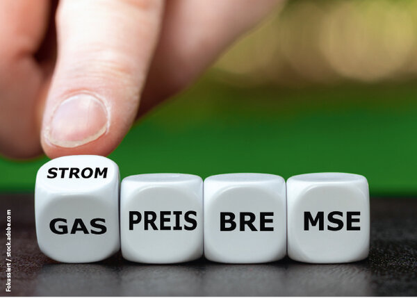 ED 02/2023 Energiepreisbremse: Unzureichende Entlastung bei Gas, Wärme und Strom (S. 8)