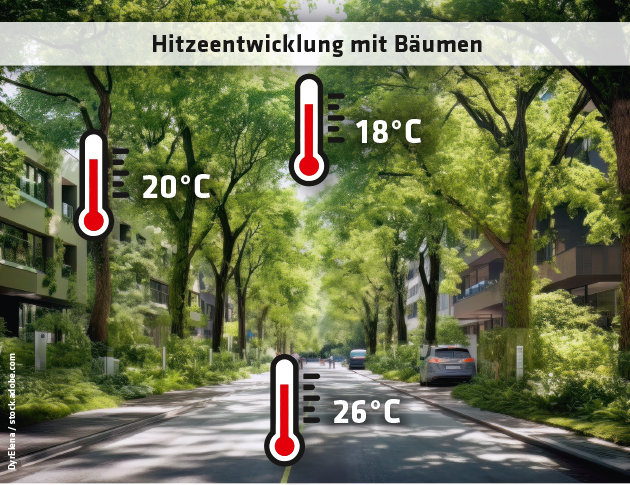 ED 03/2023 Hitzewellen in Städten: Bäume statt Parkplätze (S. 6) 