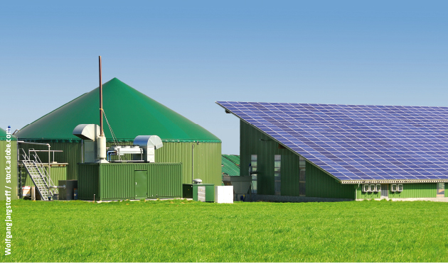 ED 01/2024 Biogas-Speicherkraftwerke: Flexibel, schnell und billig (S.30)