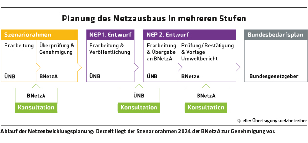 ED 01/2025 Im Netz verfangen