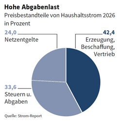 ED 04/2025 Angelockt und abgezockt (S.10-15)
